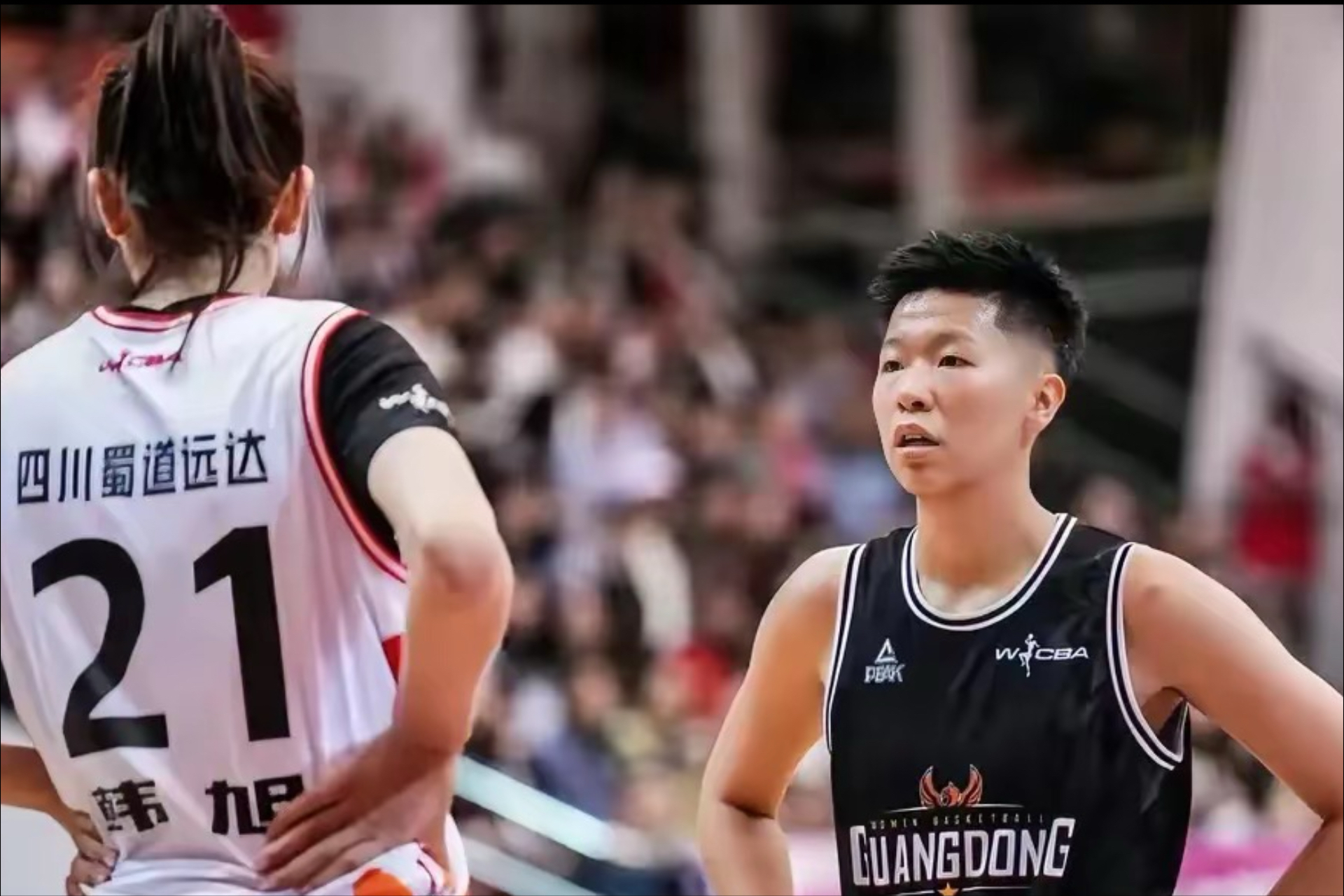 包含广东队迎来背水一战,力克四川队的词条 包含广东队迎来背水一战,力克四川队的词条